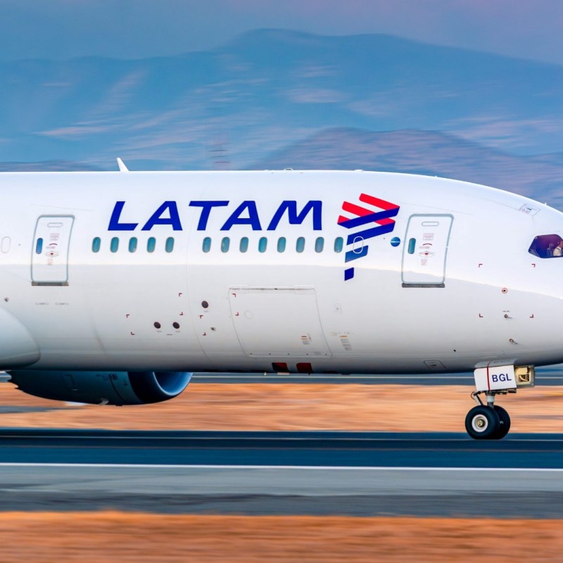 Latam Airlines transporta gratuitamente dois Mutuns-de-Alagoas de Foz do Iguaçu a Recife para conservação da espécie