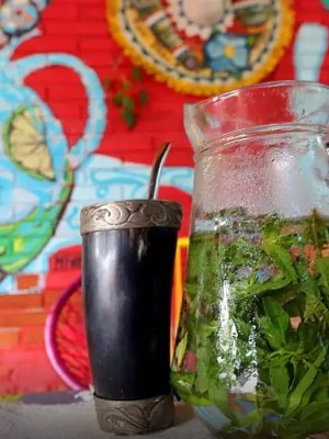 Rota do Tereré: cultura e hábitos do chá gelado que une paraguaios